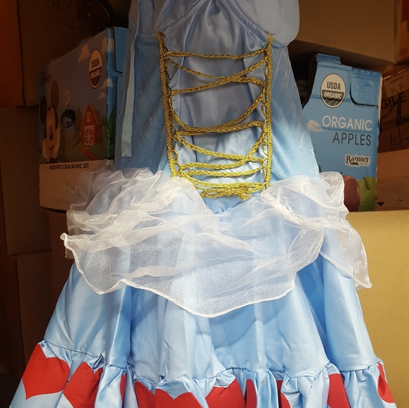 Rebel Toons Alice in Wonderland Adult Costume sz LARGE LAST ONE - Picture 7 of 14